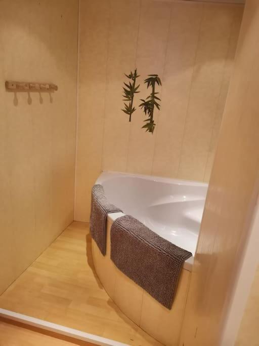 Maison Vosgienne 2 A 8 Personnes Rochesson 외부 사진